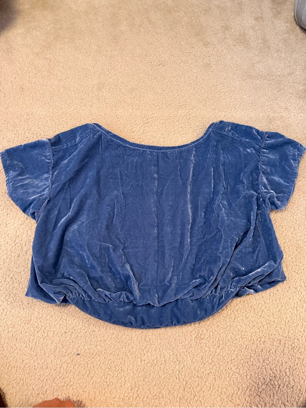 We The Free Velvet Cropped Short Sleeve Top in Blue